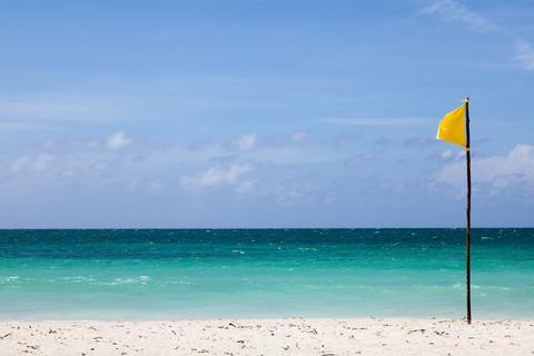 What do all these beach flags mean?